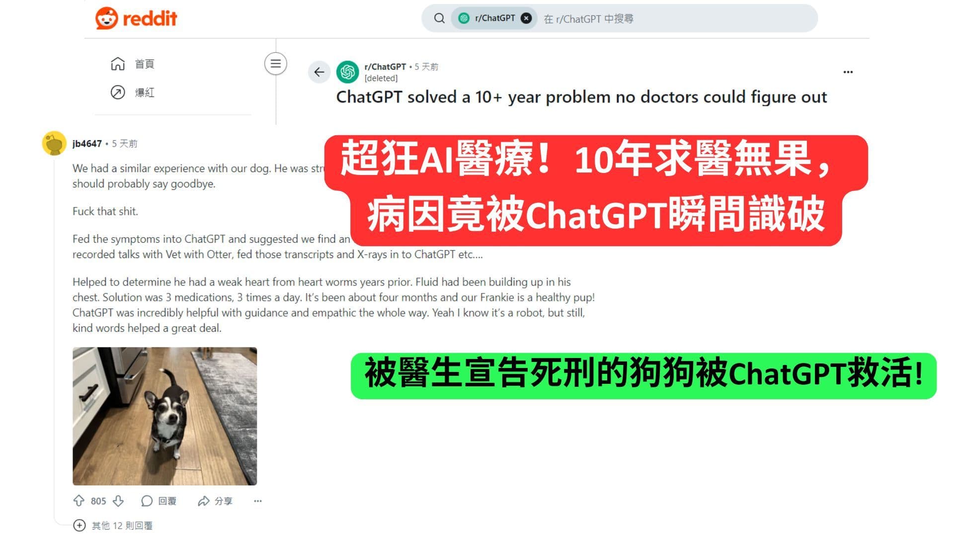 超狂AI醫療!10年求醫無果,病因竟被ChatGPT瞬間識破 | 被醫生宣告死刑的狗狗被ChatGPT救活!